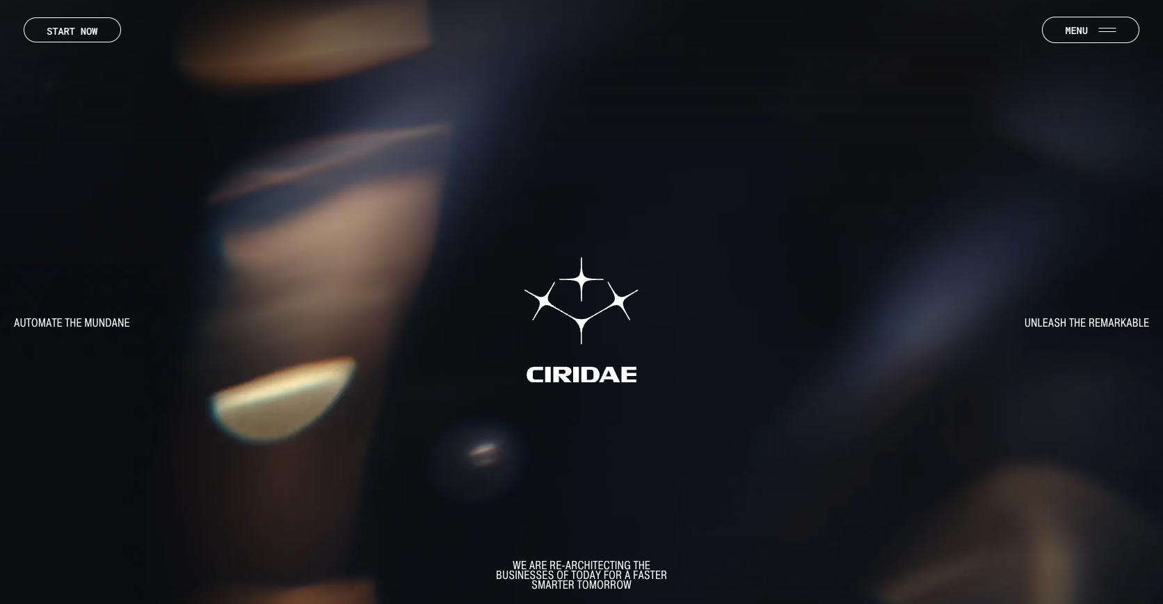 Ciridae